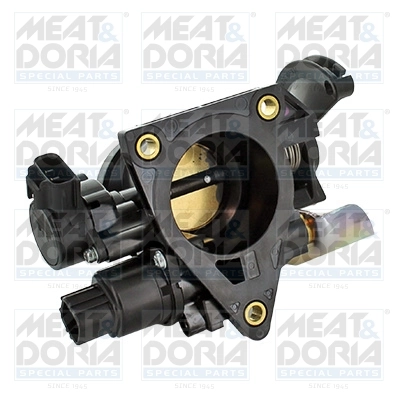 Throttle Body
